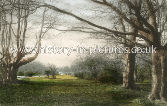 Epping Forest, Rangers Road, Chingford, London. c.1907.
